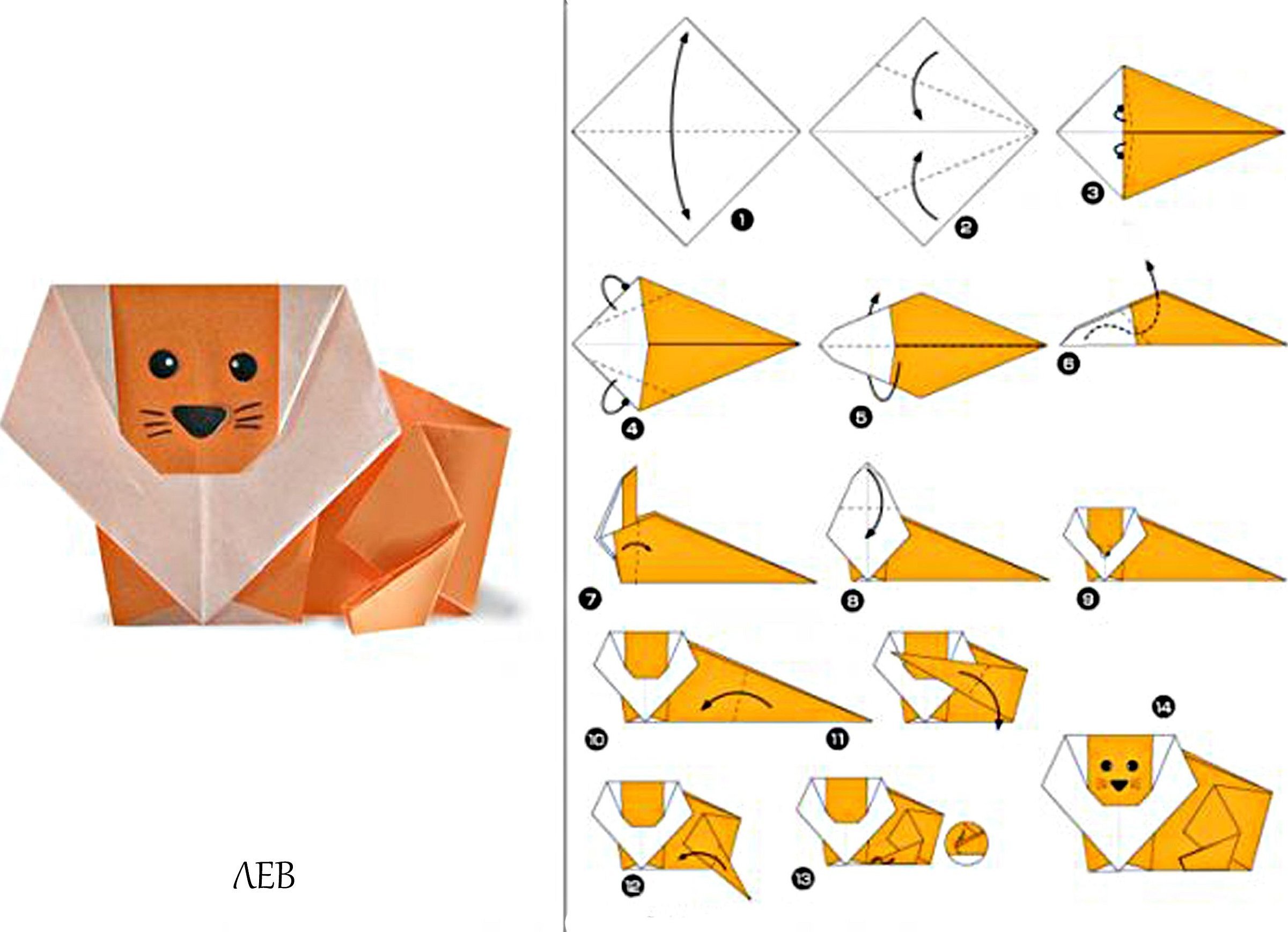 Diagram av en løveunge i papir