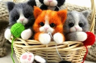 Søte kattunger