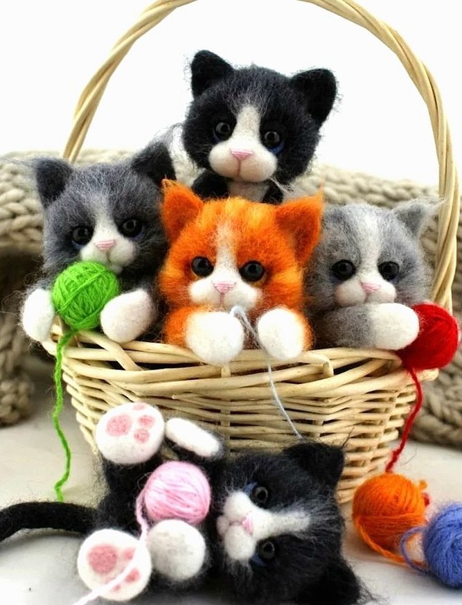 Søte kattunger