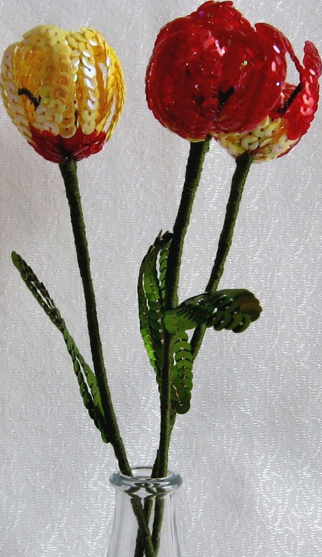 Tulipan