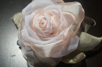 Organza og slørblomst