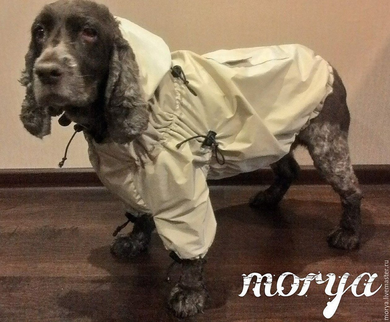 Gjør-det-selv Cocker Spaniel-klær