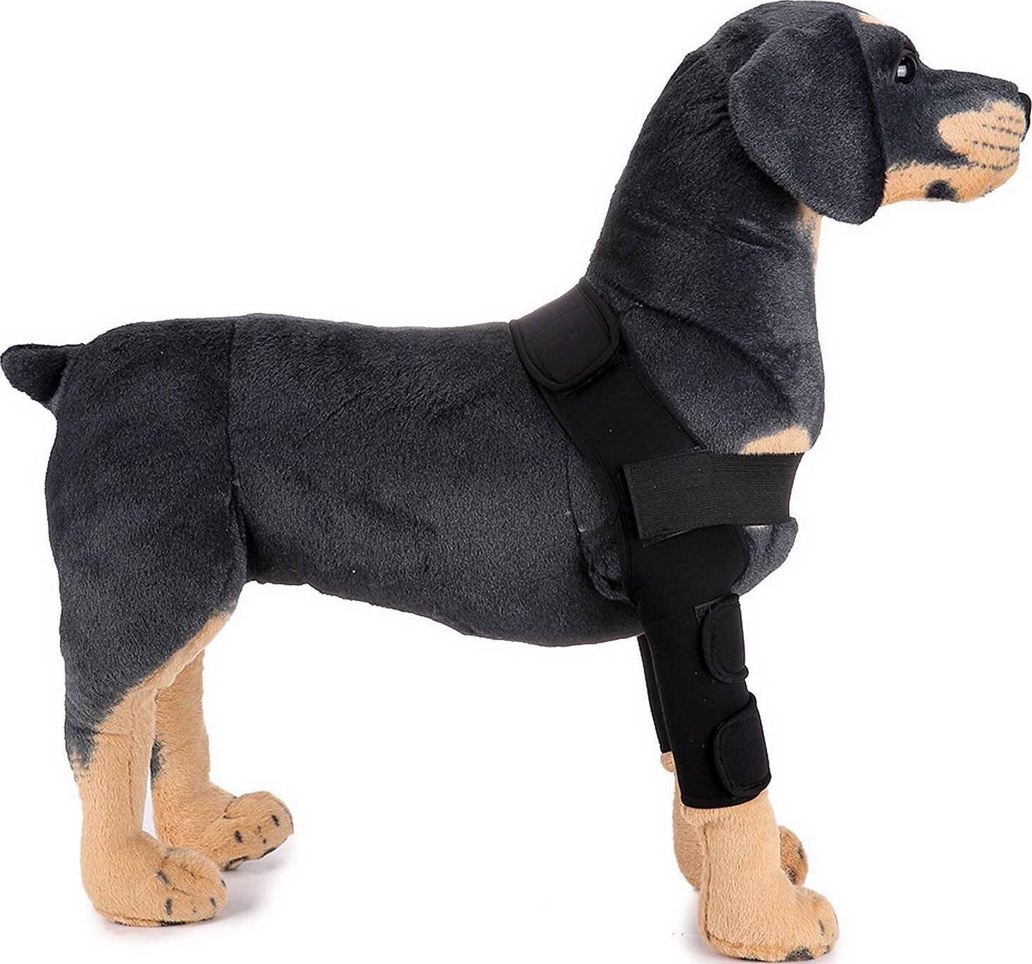 Albuebeskyttere til hund