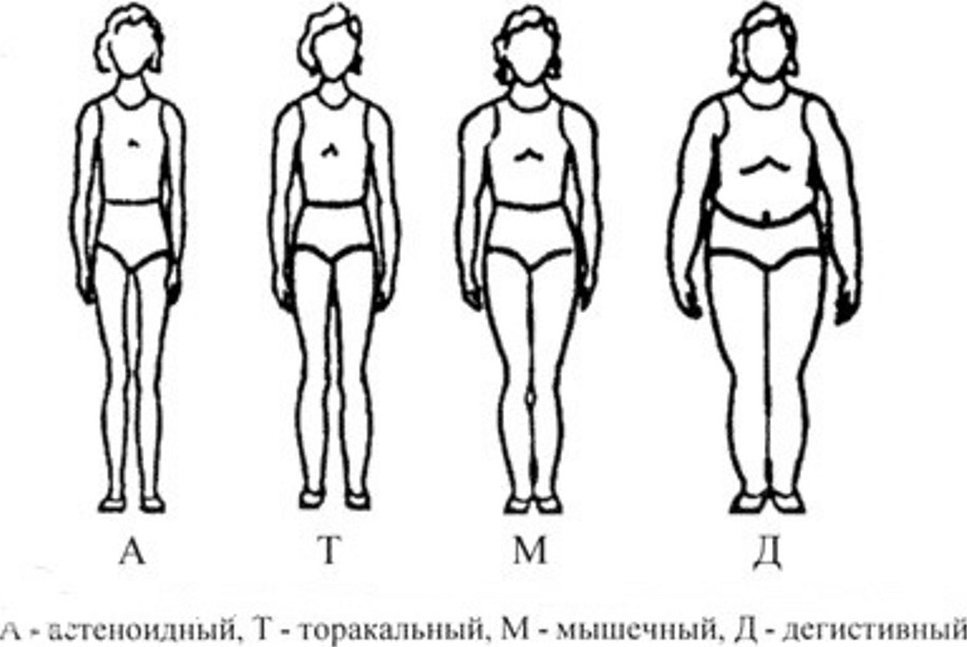 Typer av figurer ifølge V. G. Shtefko - A. D. Ostrovsky
