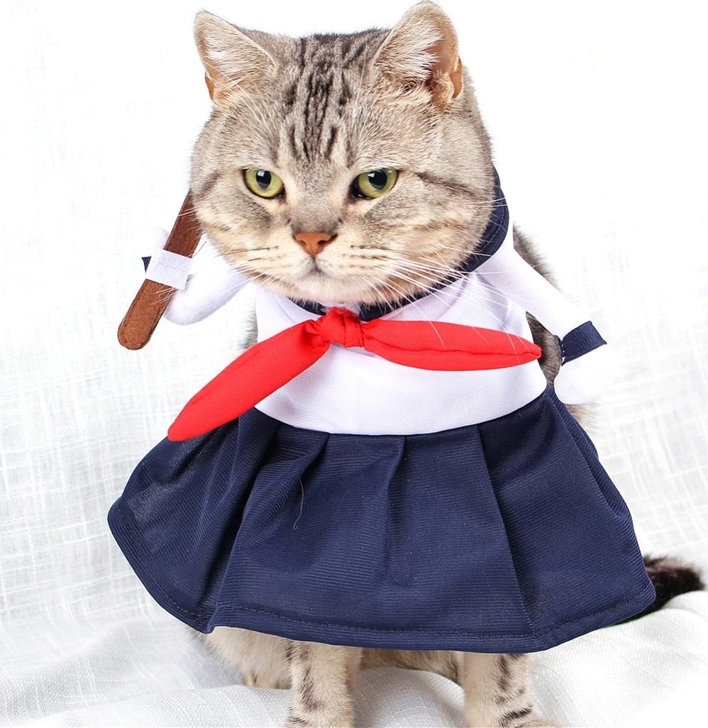 Katteforkle