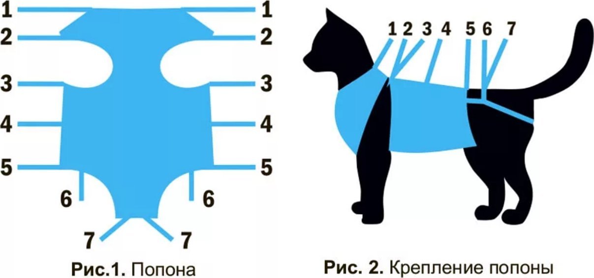 Diagrammet over teppet og festealternativene