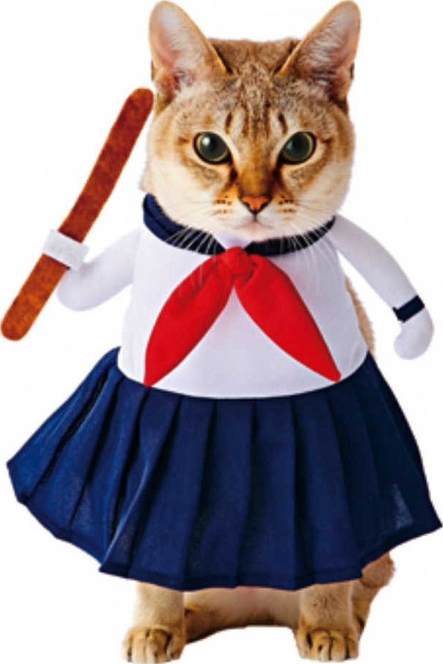 Katteskjørt