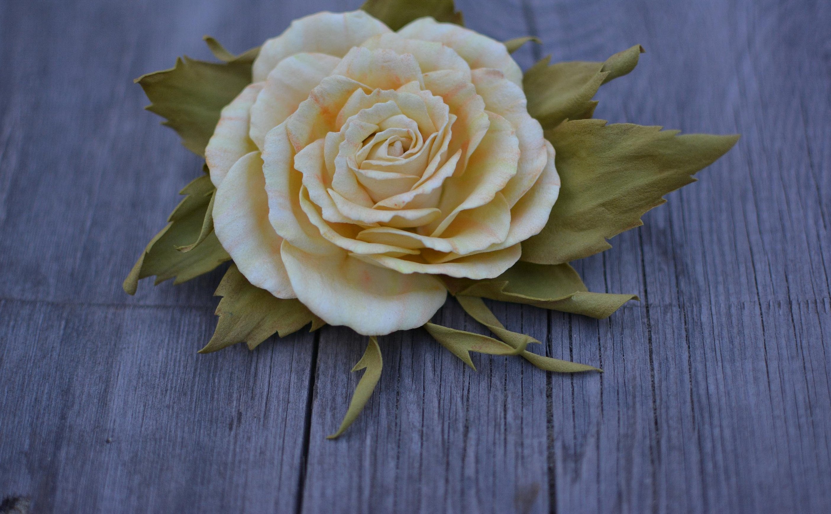 Original hvit rose med blader