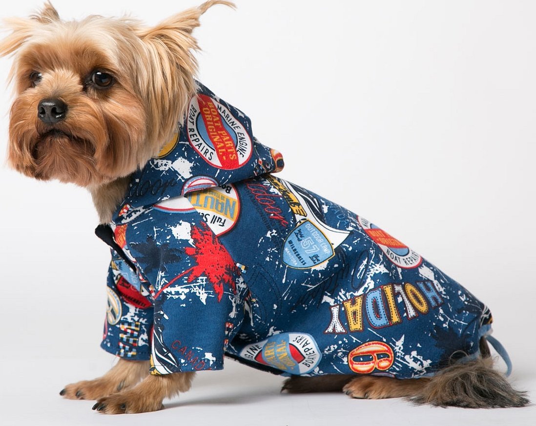 Eksempel på en påkledd hund