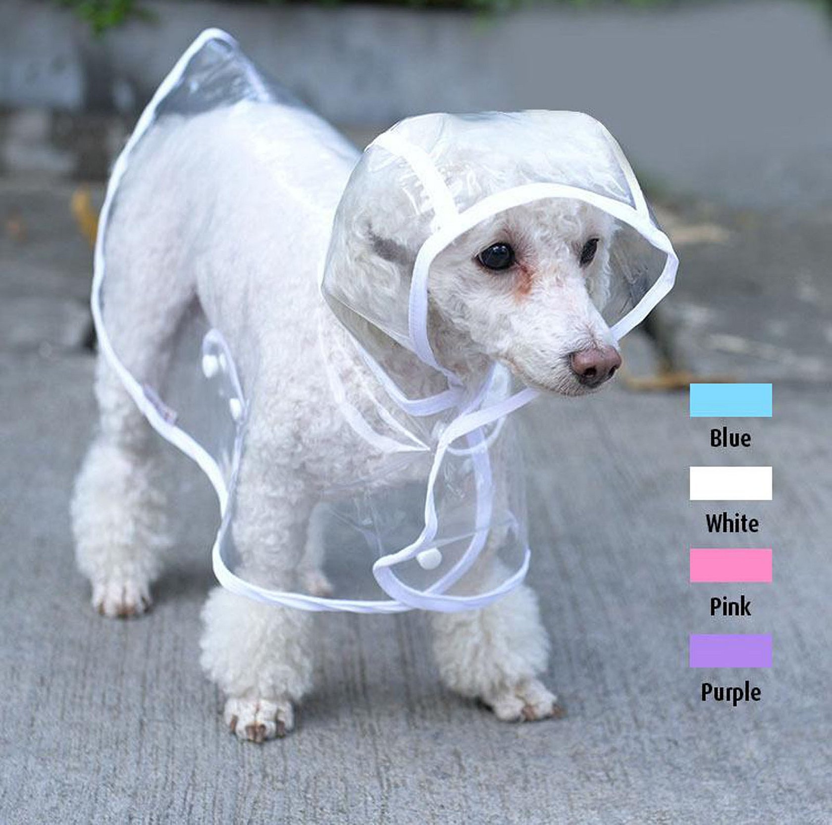 Regnfrakk til hund