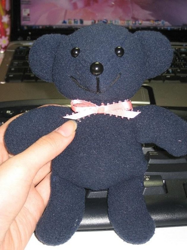 En av typene teddybjørner