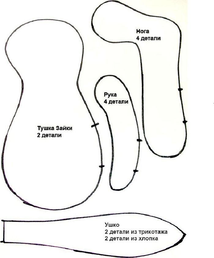 Modellens torso