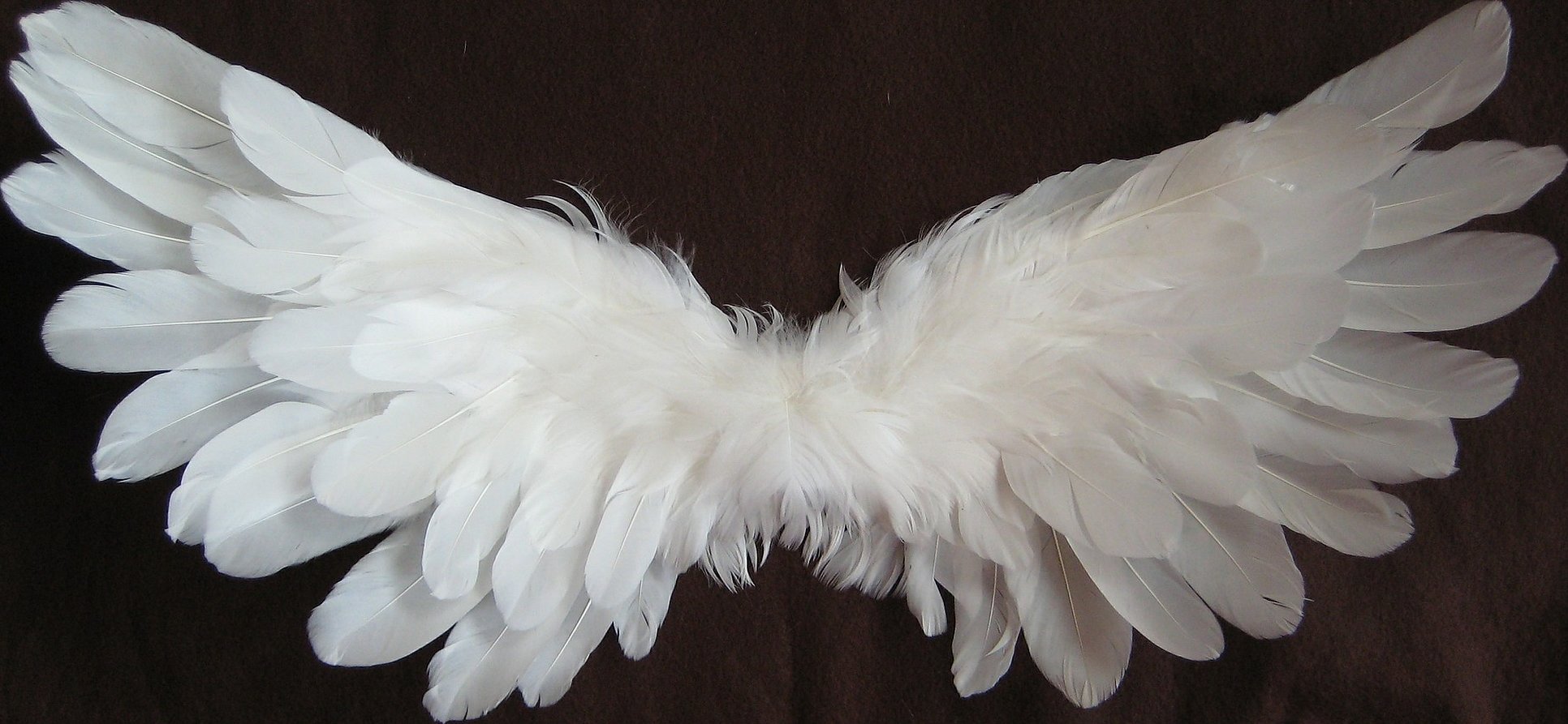 Fjærvariant