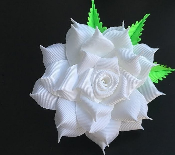 Hvit rose