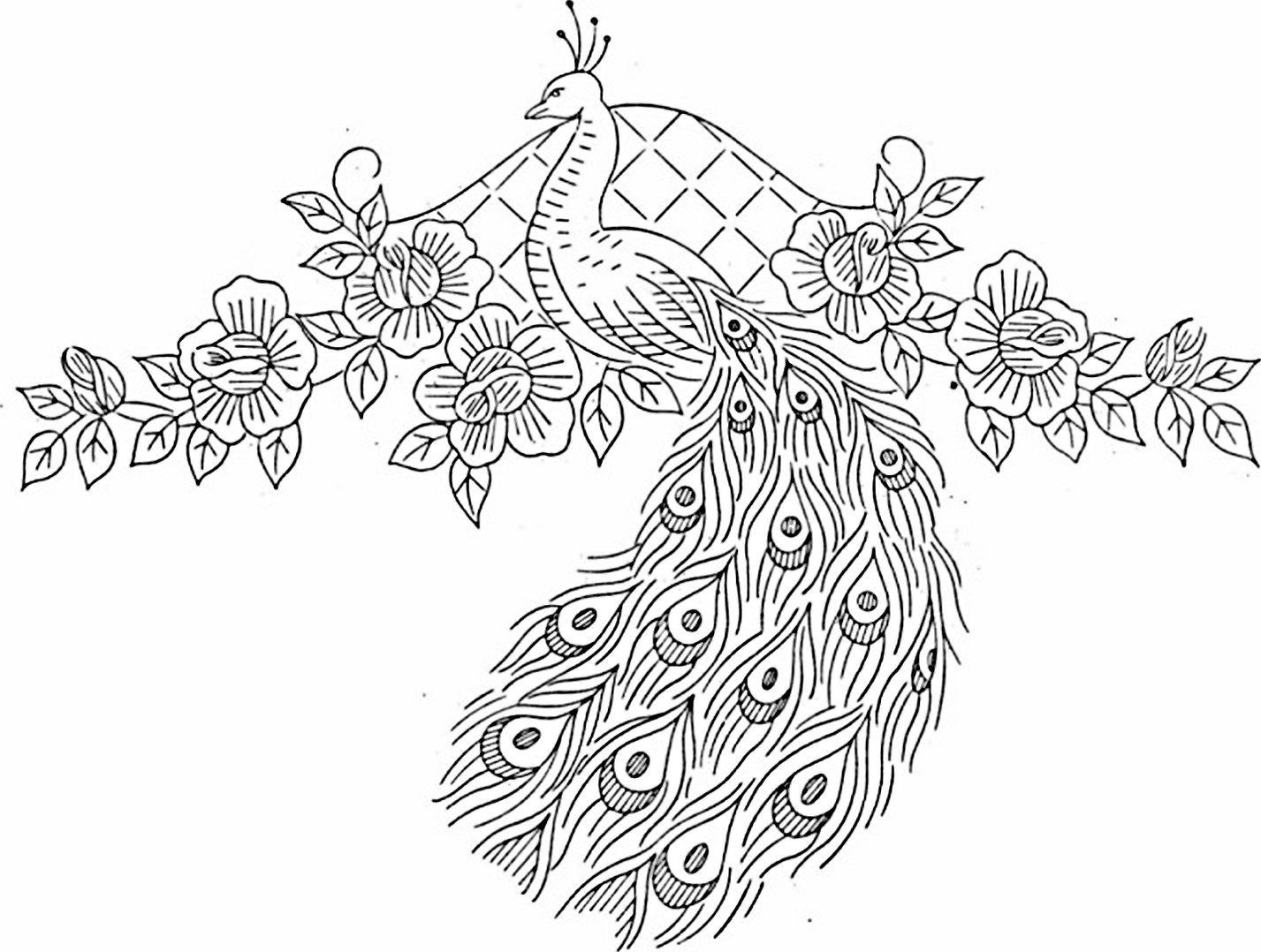 Påfugldiagram