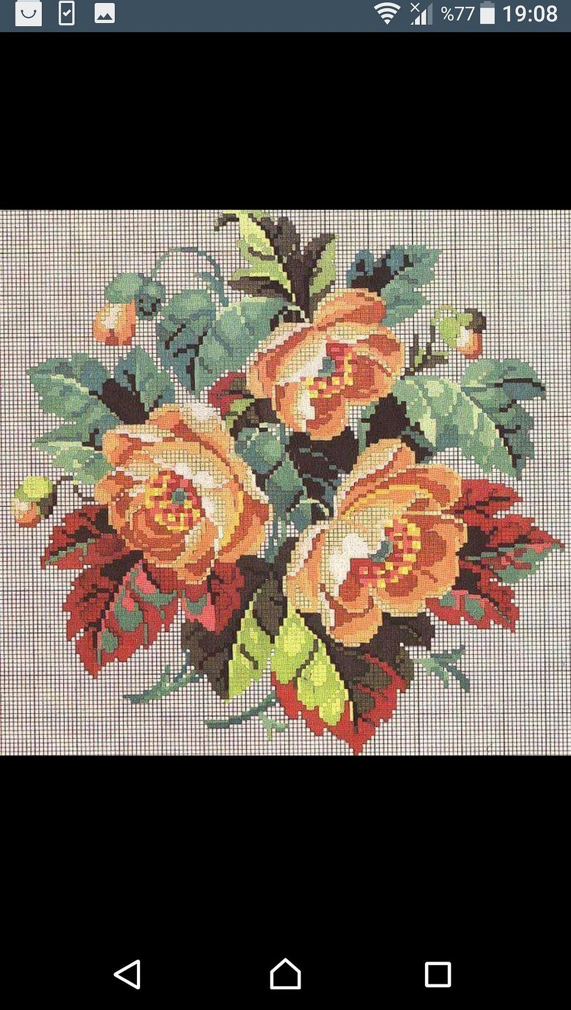 Interessante og fargerike blomster