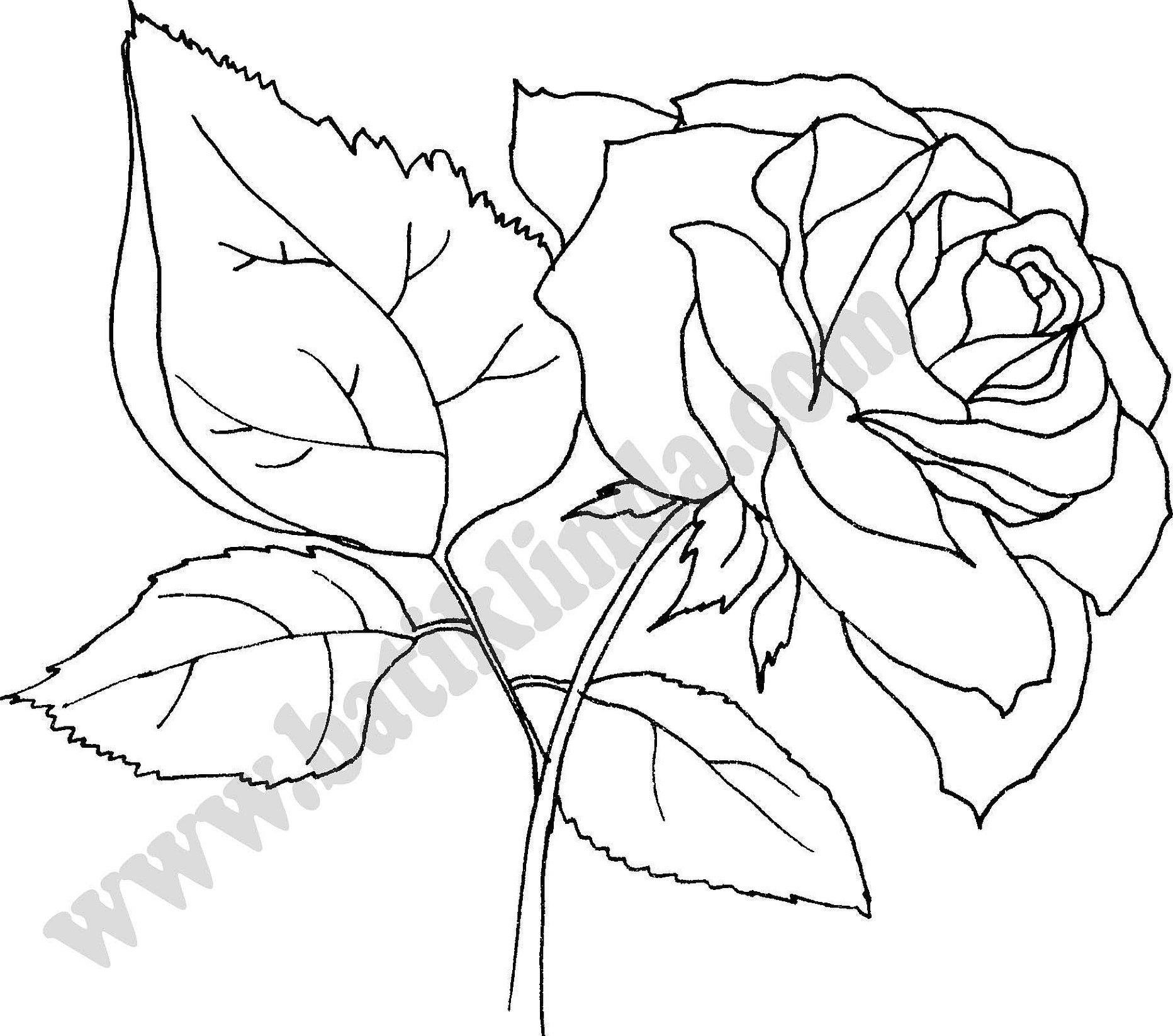 Broderiblomster