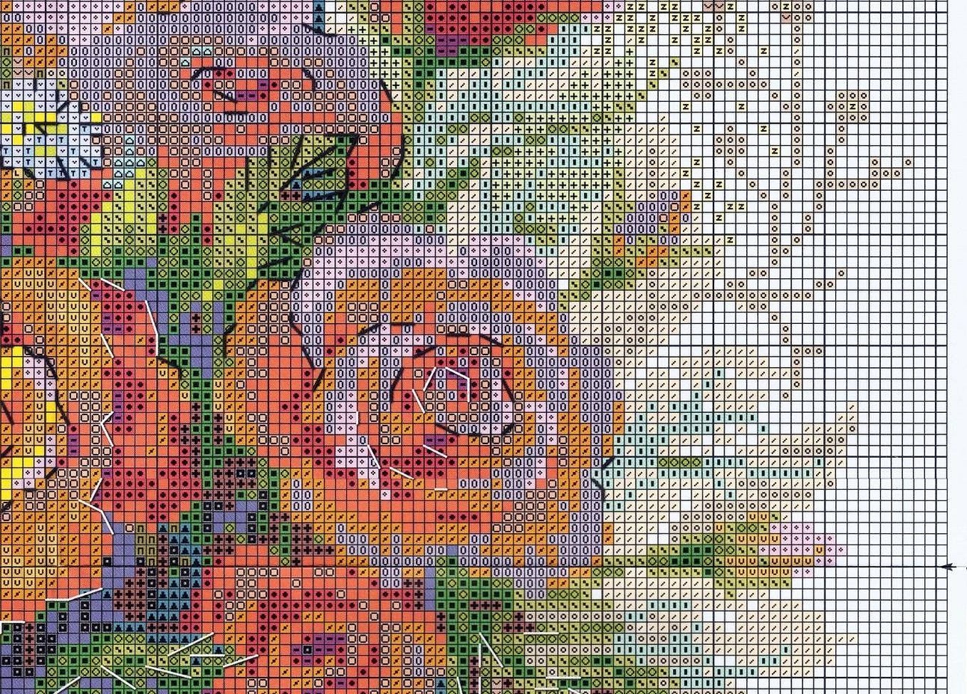 Ordning for te-rose