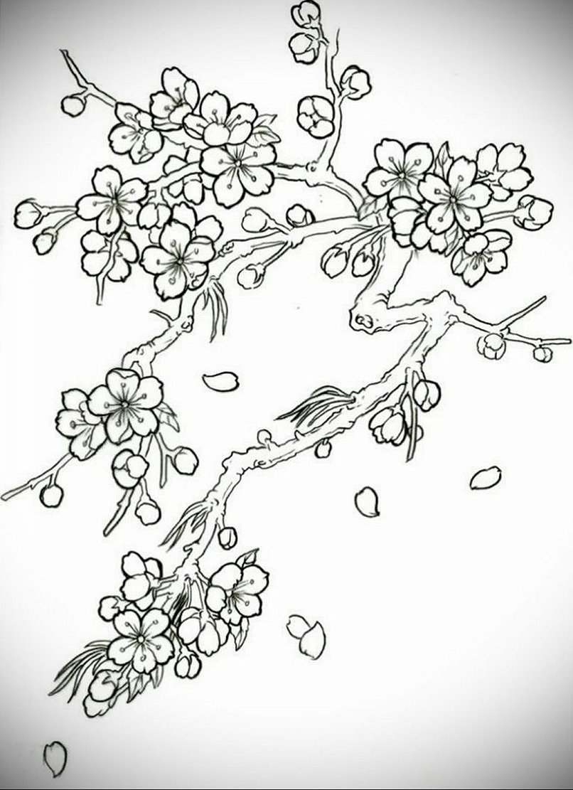 Japansk sakura