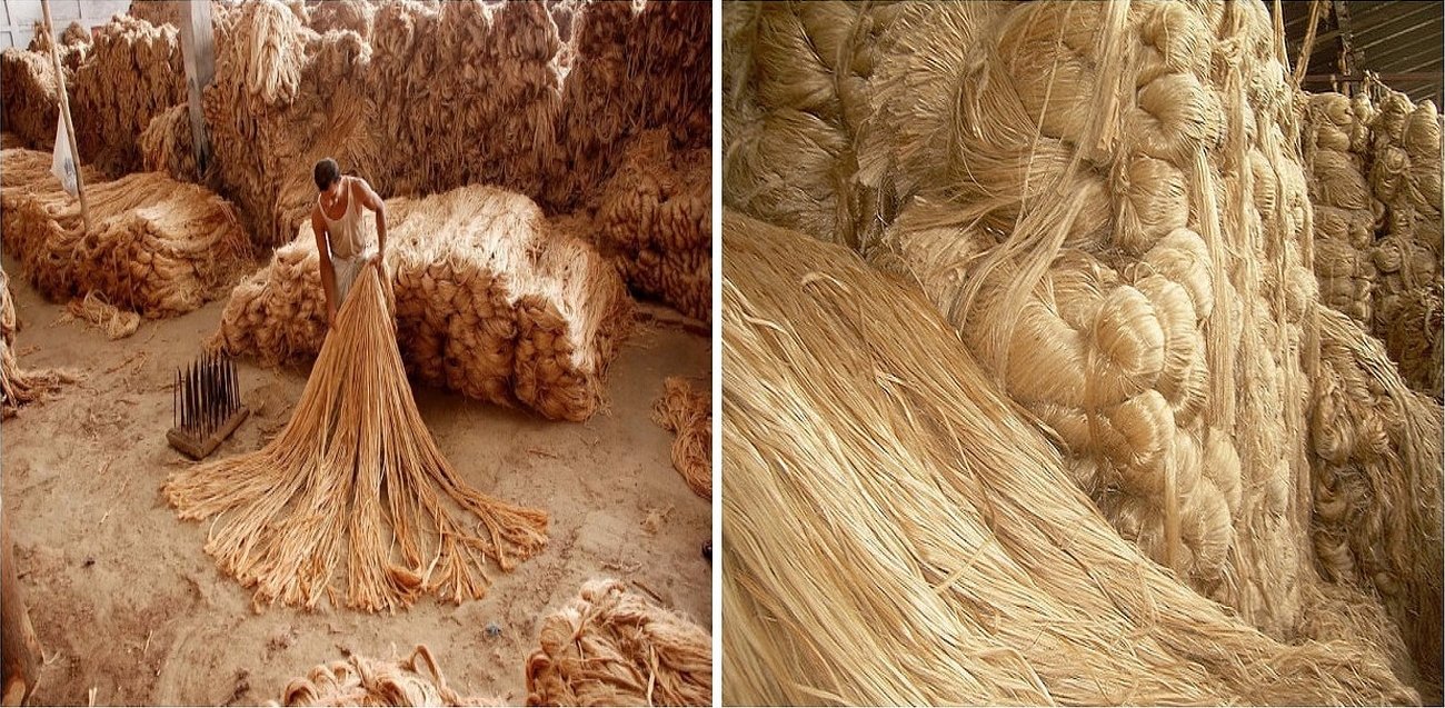 Jutefiber