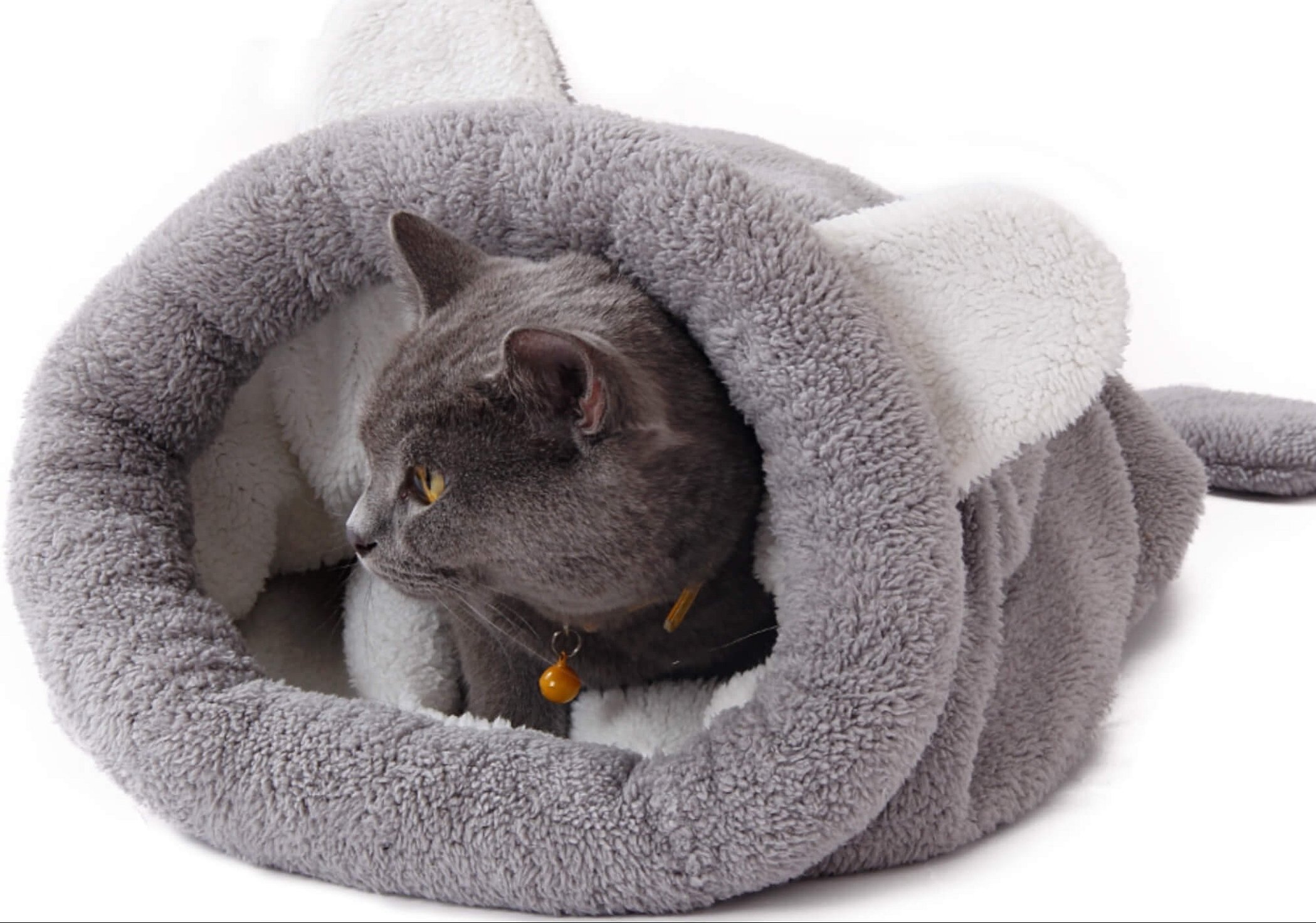 Sovepose for kattens hvile