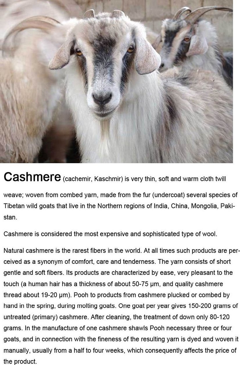 Kashmir-fjellgeit
