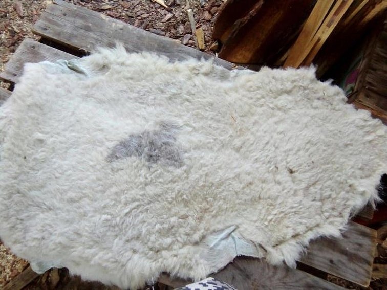 Bearbeidet saueskinn