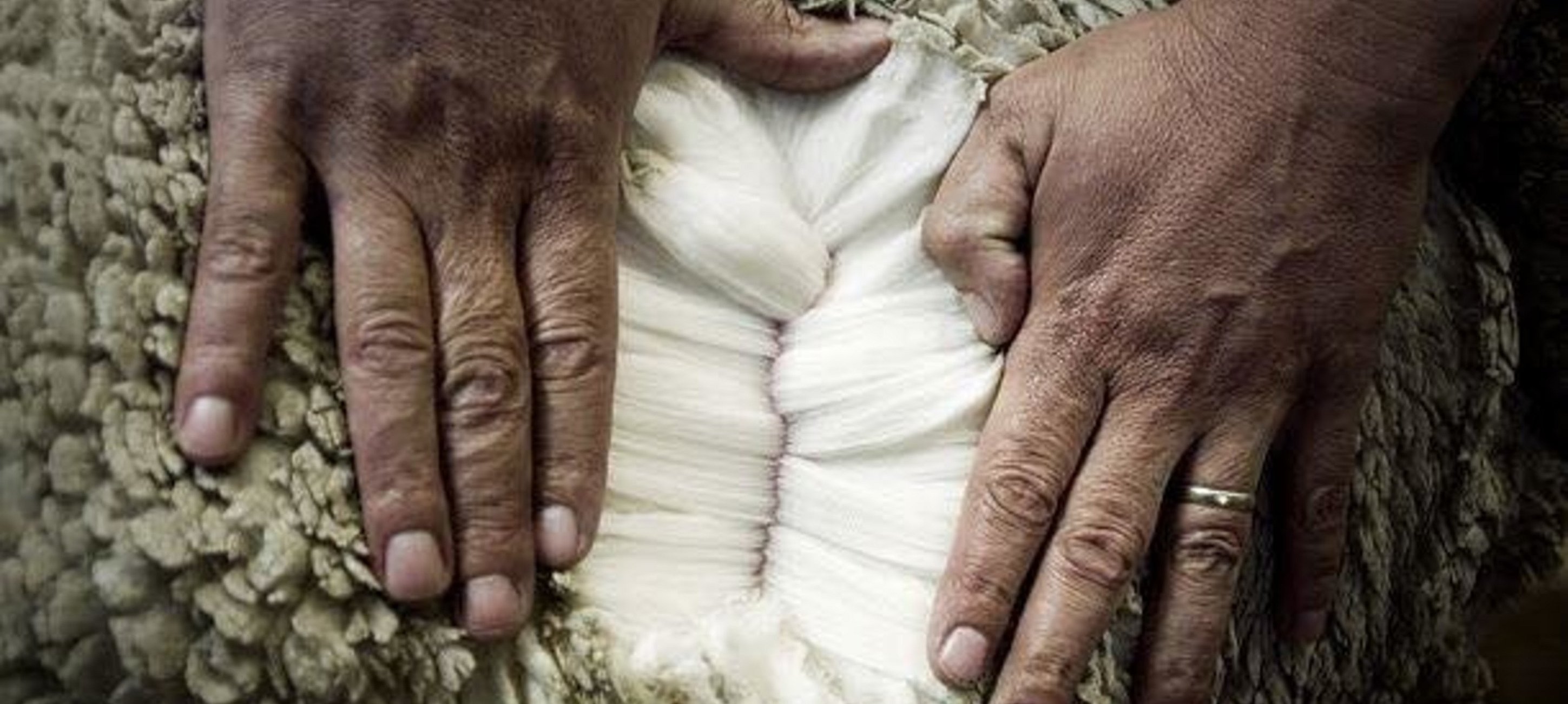 Lange fibre