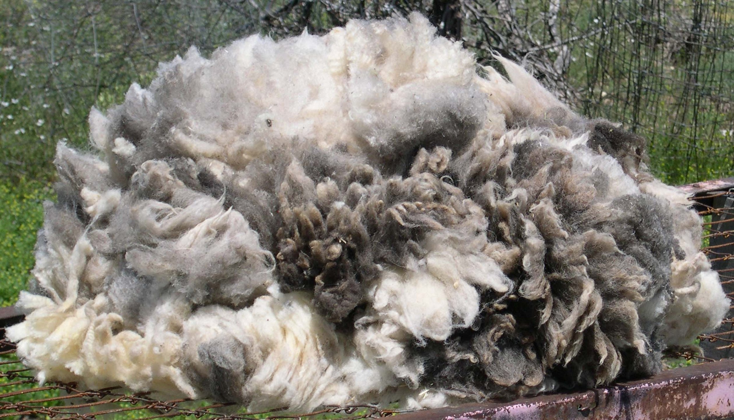 Fleece