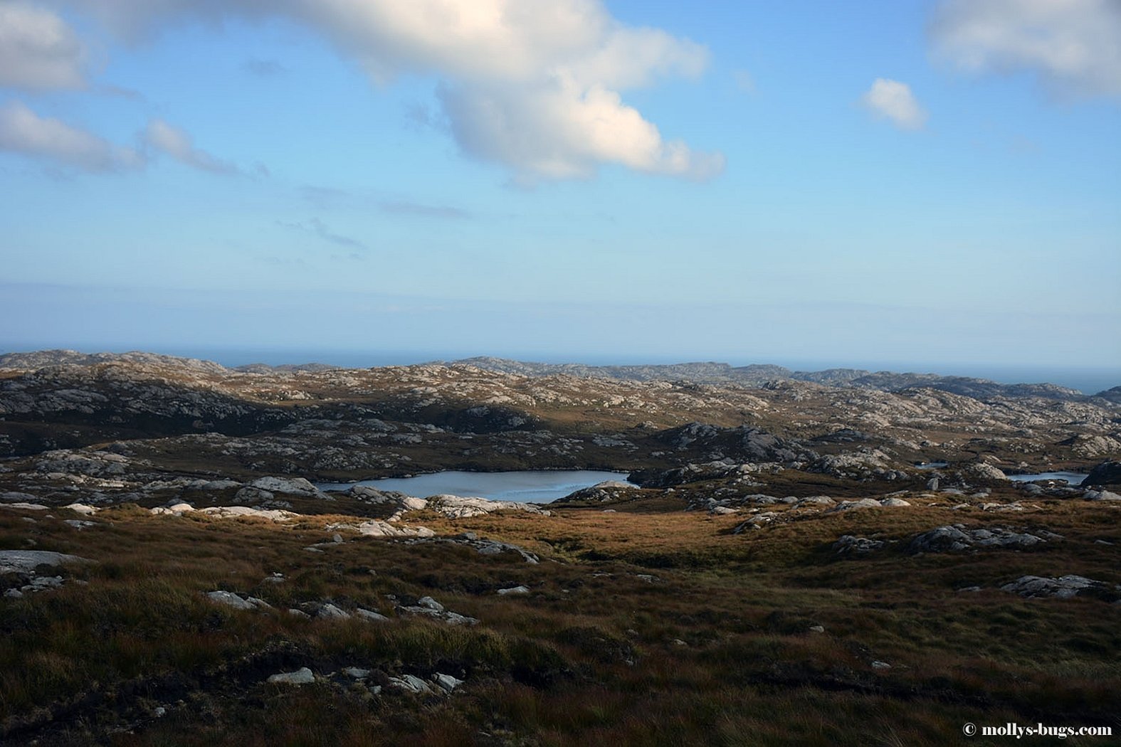 Isle of Lewis