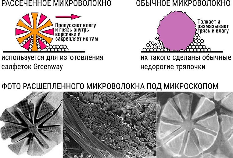 Fibră sub microscop