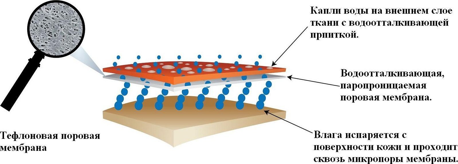 Diagram over membranstoff