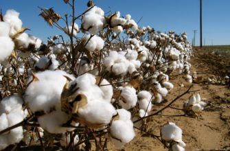 Naturlige og syntetiske komponenter brukes i produksjonen